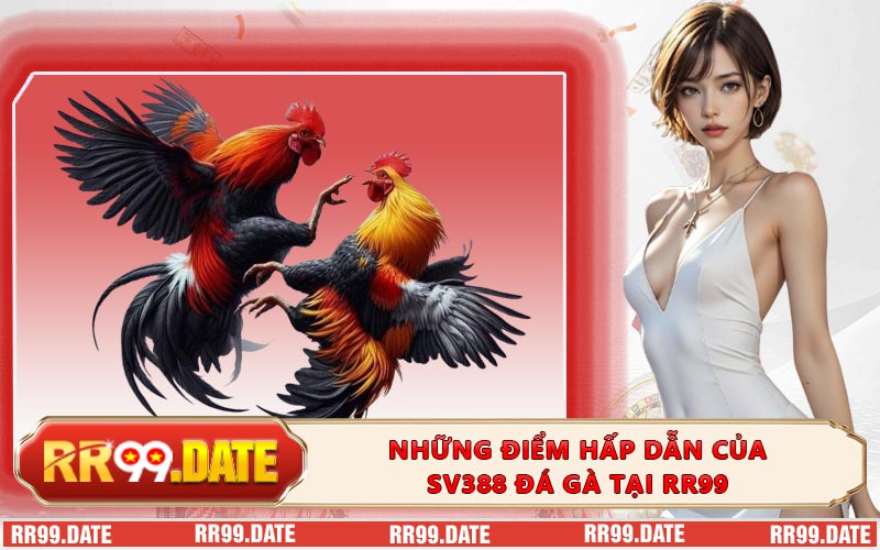 Những điểm hấp dẫn của SV388 đá gà tại RR99