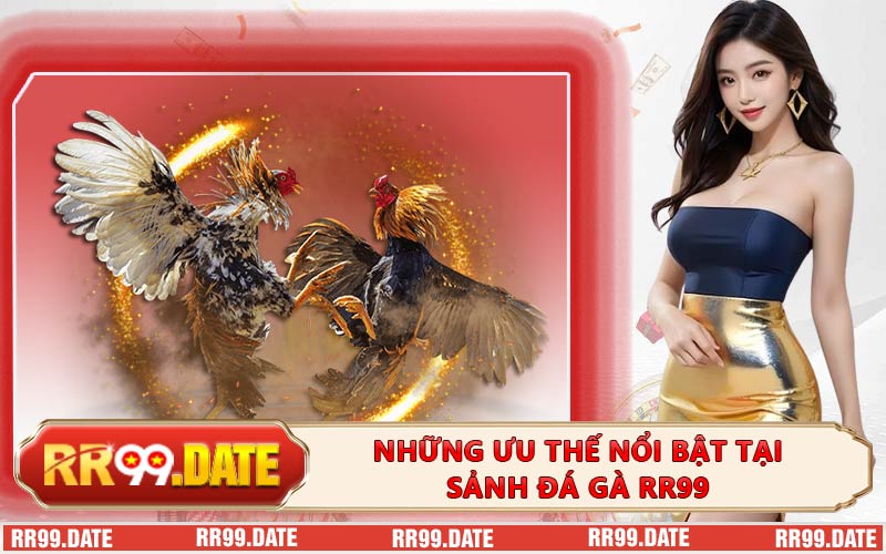Những ưu thế nổi bật tại sảnh đá gà RR99
