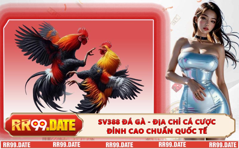 SV388 Đá Gà - Địa Chỉ Cá Cược Đỉnh Cao Chuẩn Quốc Tế