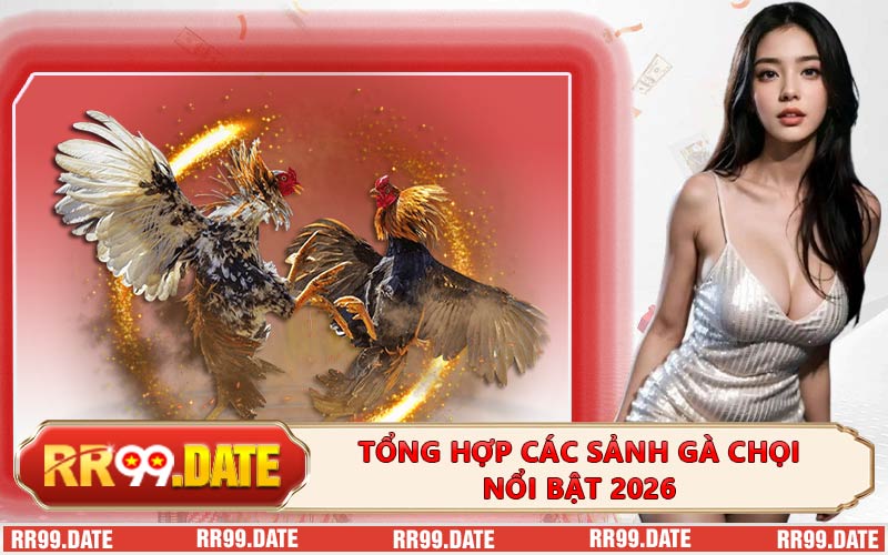Tổng hợp các sảnh gà chọi nổi bật 2026